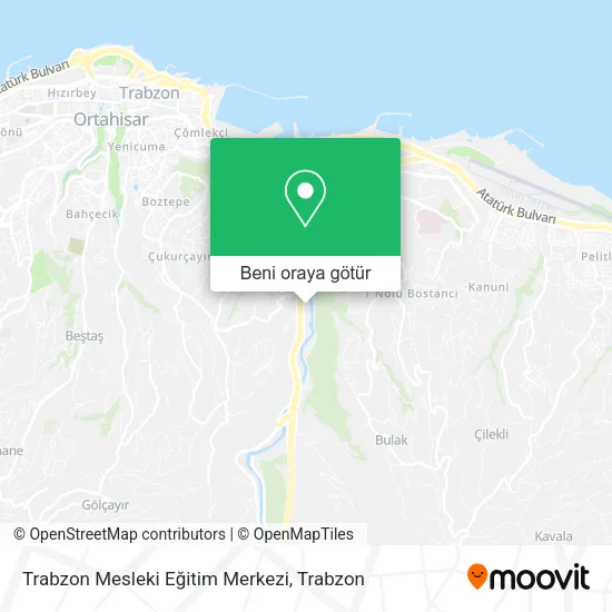 Trabzon Mesleki Eğitim Merkezi harita