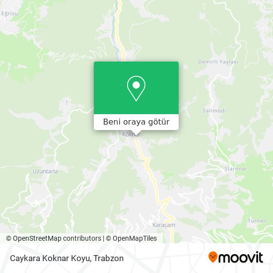 Caykara Koknar Koyu harita