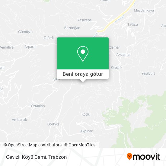 Cevizli Köyü Cami harita