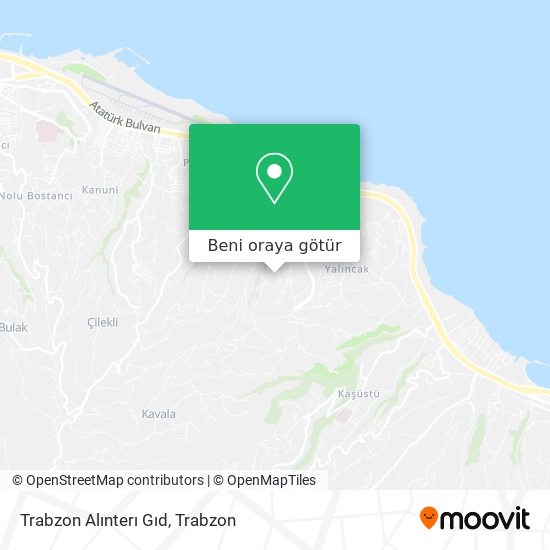 Trabzon Alınterı Gıd harita