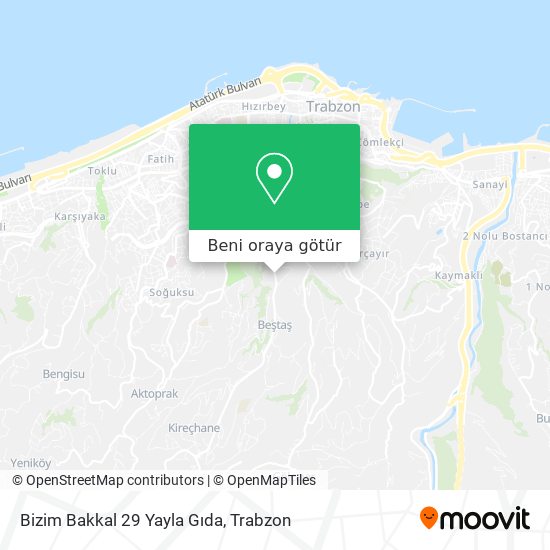 Bizim Bakkal 29 Yayla Gıda harita