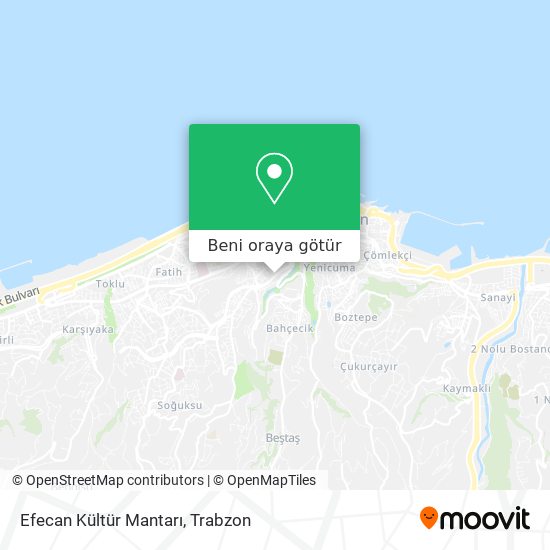Efecan Kültür Mantarı harita