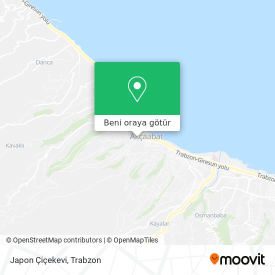 Japon Çiçekevi harita