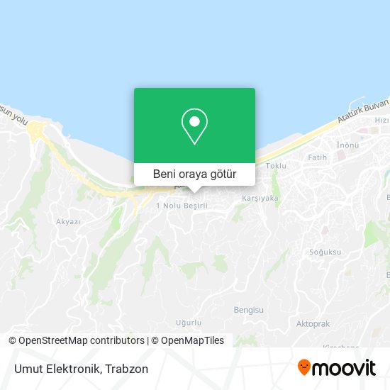 Umut Elektronik harita