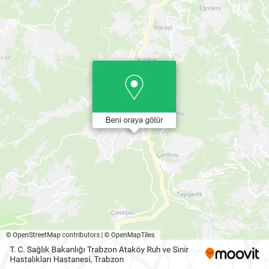 T. C. Sağlık Bakanlığı Trabzon Ataköy Ruh ve Sinir Hastalıkları Hastanesi harita