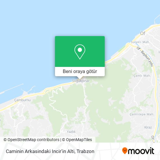Caminin Arkasindaki Incir'in Alti harita