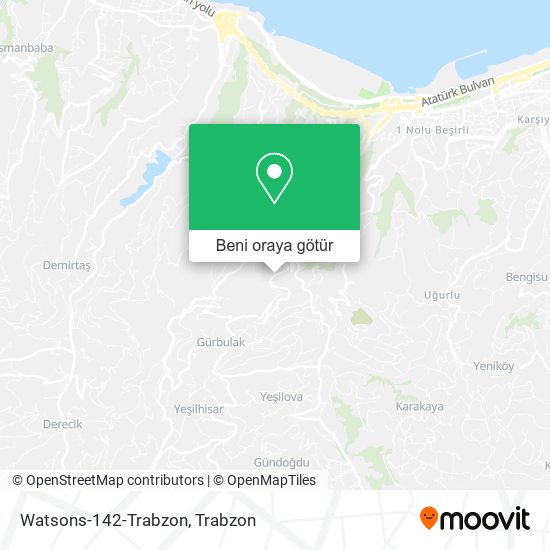 Watsons-142-Trabzon harita