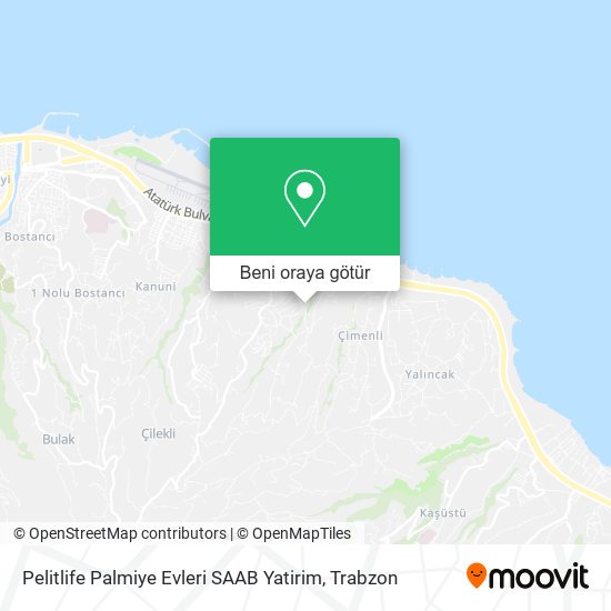 Pelitlife Palmiye Evleri SAAB Yatirim harita