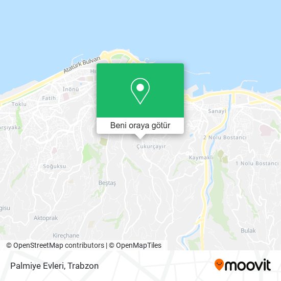 Palmiye Evleri harita