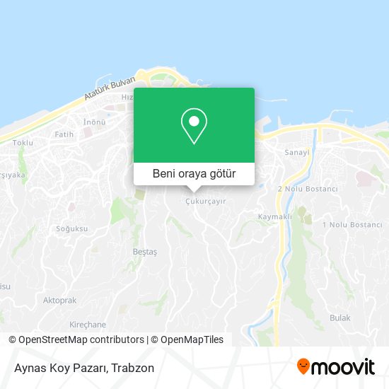 Aynas Koy Pazarı harita