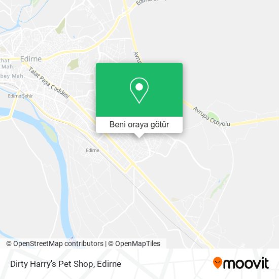 Dirty Harry's Pet Shop harita