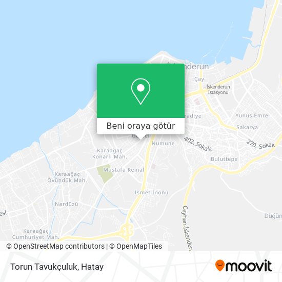 Torun Tavukçuluk harita