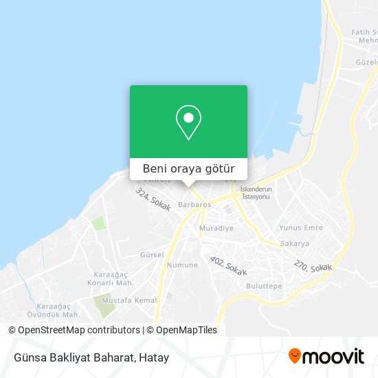 Günsa Bakliyat Baharat harita