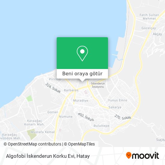 Algofobi İskenderun Korku Evi harita