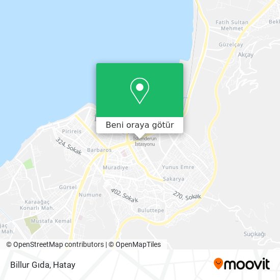 Billur Gıda harita