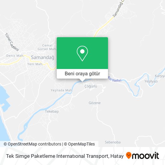Tek Simge Paketleme Internatıonal Transport harita