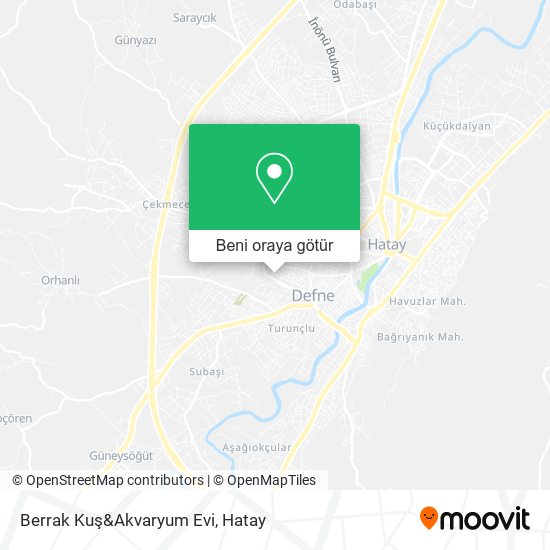 Berrak Kuş&Akvaryum Evi harita