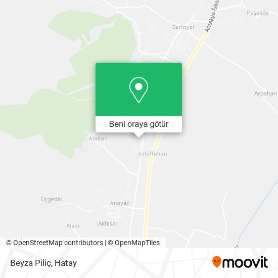Beyza Piliç harita