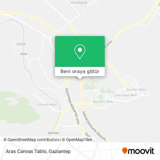 Aras Canvas Tablo harita
