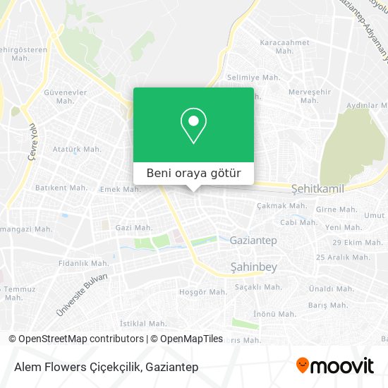 Alem Flowers Çiçekçilik harita