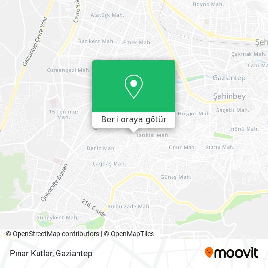 Pınar Kutlar harita