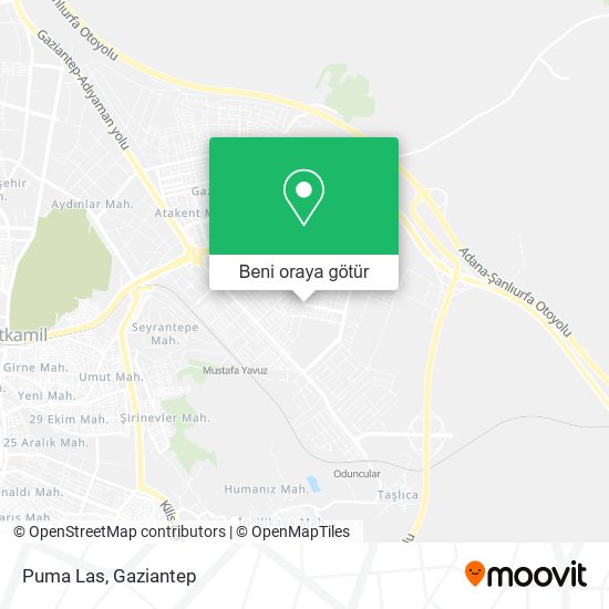 Puma Las harita