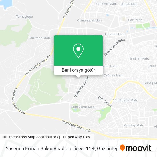 Yasemin Erman Balsu Anadolu Lisesi 11-F harita