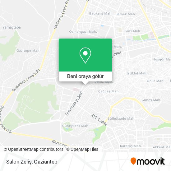 Salon Zeliş harita