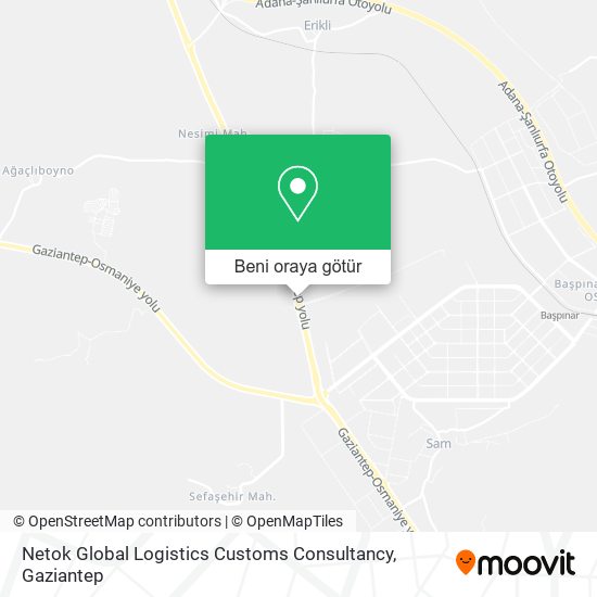 Netok Global Logistics Customs Consultancy harita