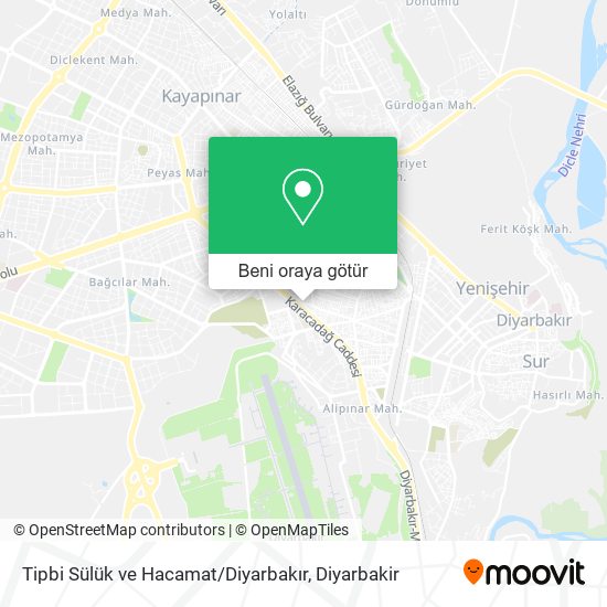 Tipbi Sülük ve Hacamat / Diyarbakır harita