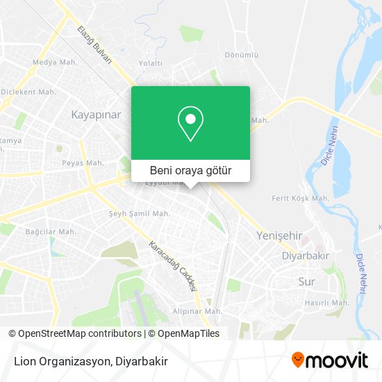 Lion Organizasyon harita