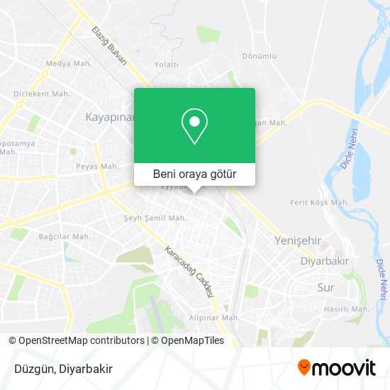 Düzgün harita
