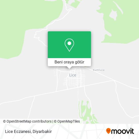 Lice Eczanesi harita