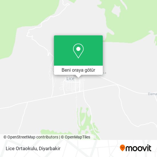 Lice Ortaokulu harita