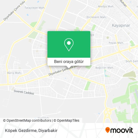 Köpek Gezdirme harita