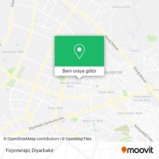 Fizyoterapi harita