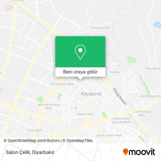 Salon Çelik harita