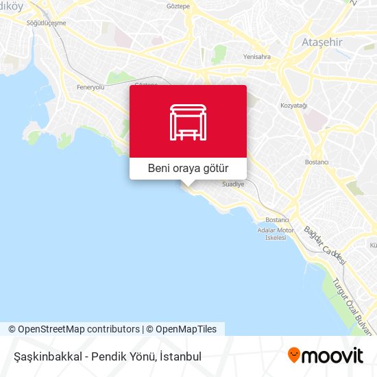 Şaşkinbakkal - Pendik Yönü harita