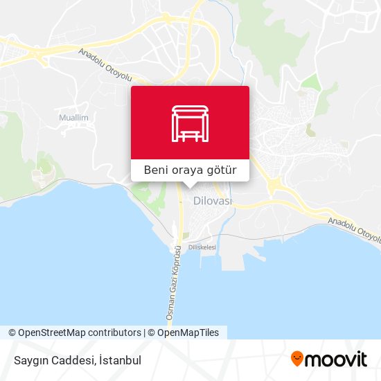 Saygın Caddesi harita