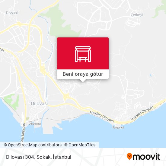 Dilovası 304. Sokak harita