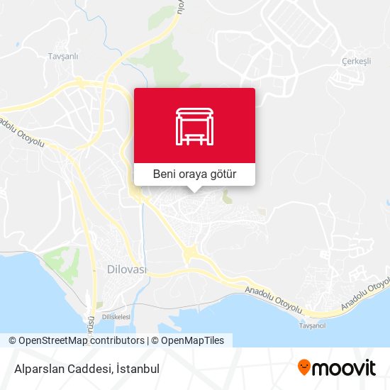 Alparslan Caddesi harita