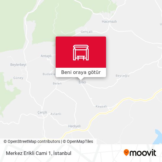 Merkez Erikli Cami 1 harita