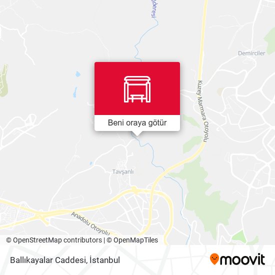 Ballıkayalar Caddesi harita