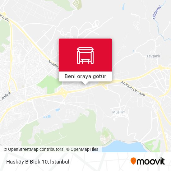 Hasköy B Blok 10 harita