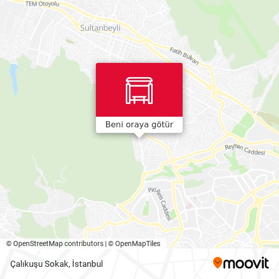 Çalıkuşu Sokak harita