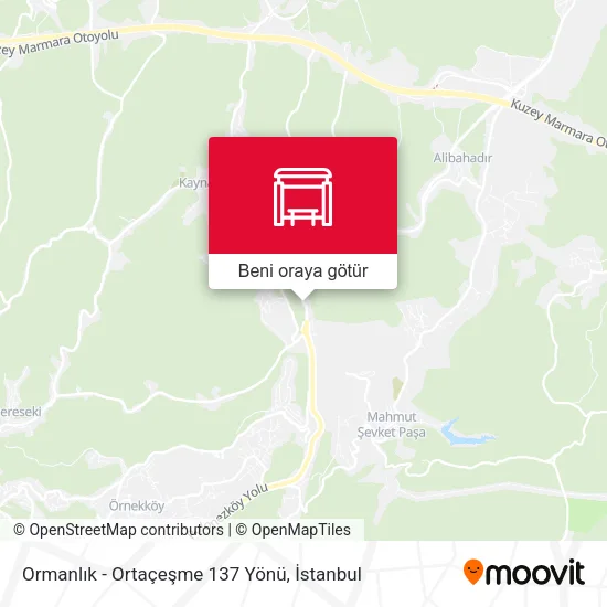 Ormanlık - Ortaçeşme 137 Yönü harita