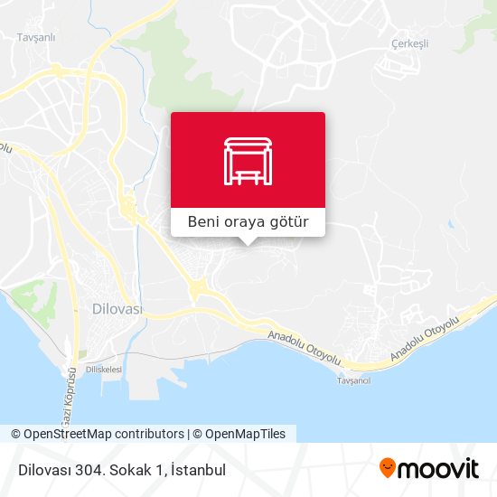 Dilovası 304. Sokak 1 harita
