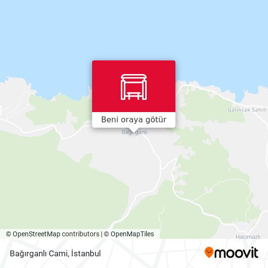 Bağırganlı Cami harita