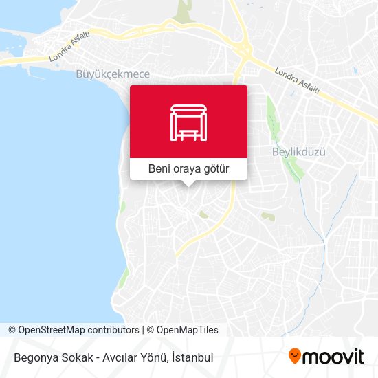 Begonya Sokak - Avcılar Yönü harita