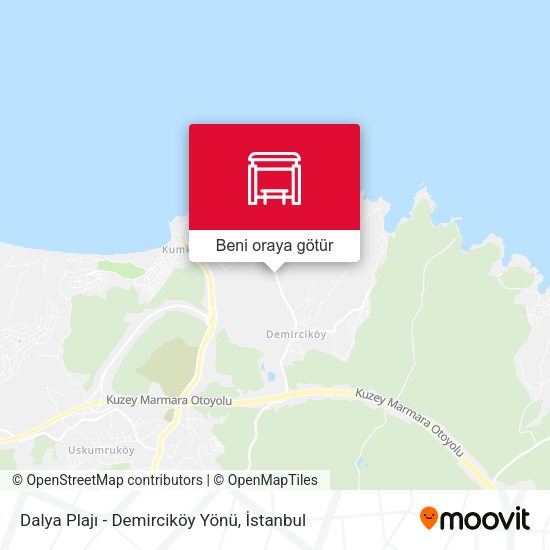 Dalya Plajı - Demirciköy Yönü harita